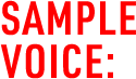 SAMPLE VOICE: