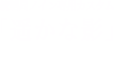 統制局ノイン専用カスタム「遥かな影」/Incredible Shadow