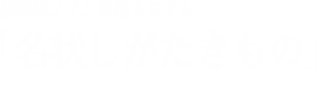 統制局ノイン専用カスタム「名状しがたきもの」/The Unnamable